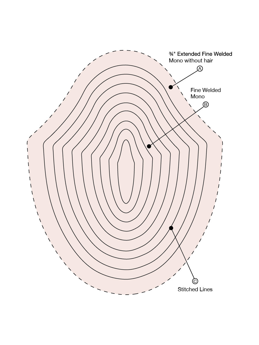 Paragon 1 Plus - Special