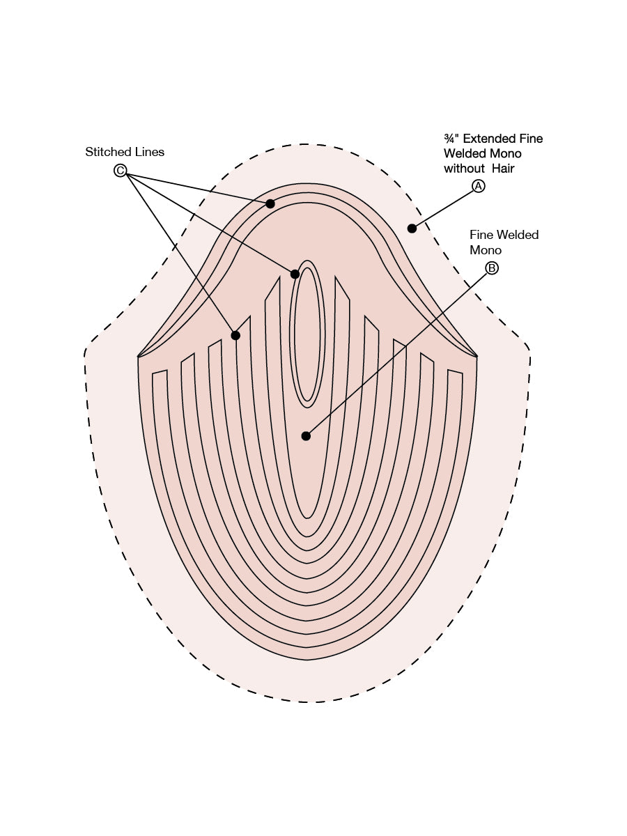 Paragon 2 Plus - Special